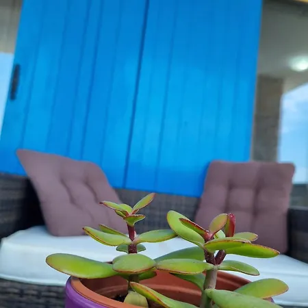 Stone House Iva Kraljevica